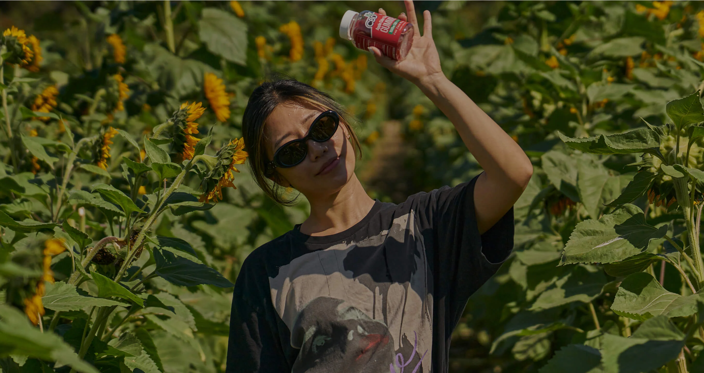 Pure CBD For Your Lifestyle